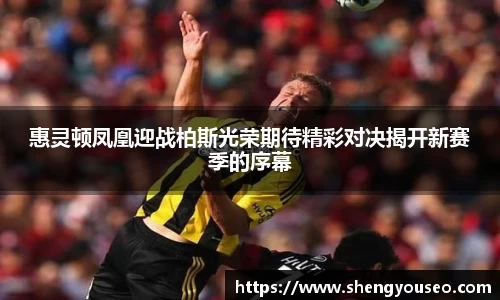 惠灵顿凤凰迎战柏斯光荣期待精彩对决揭开新赛季的序幕