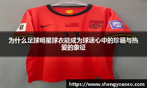 球王会·(体育)官方网站