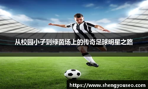 球王会体育官方网站